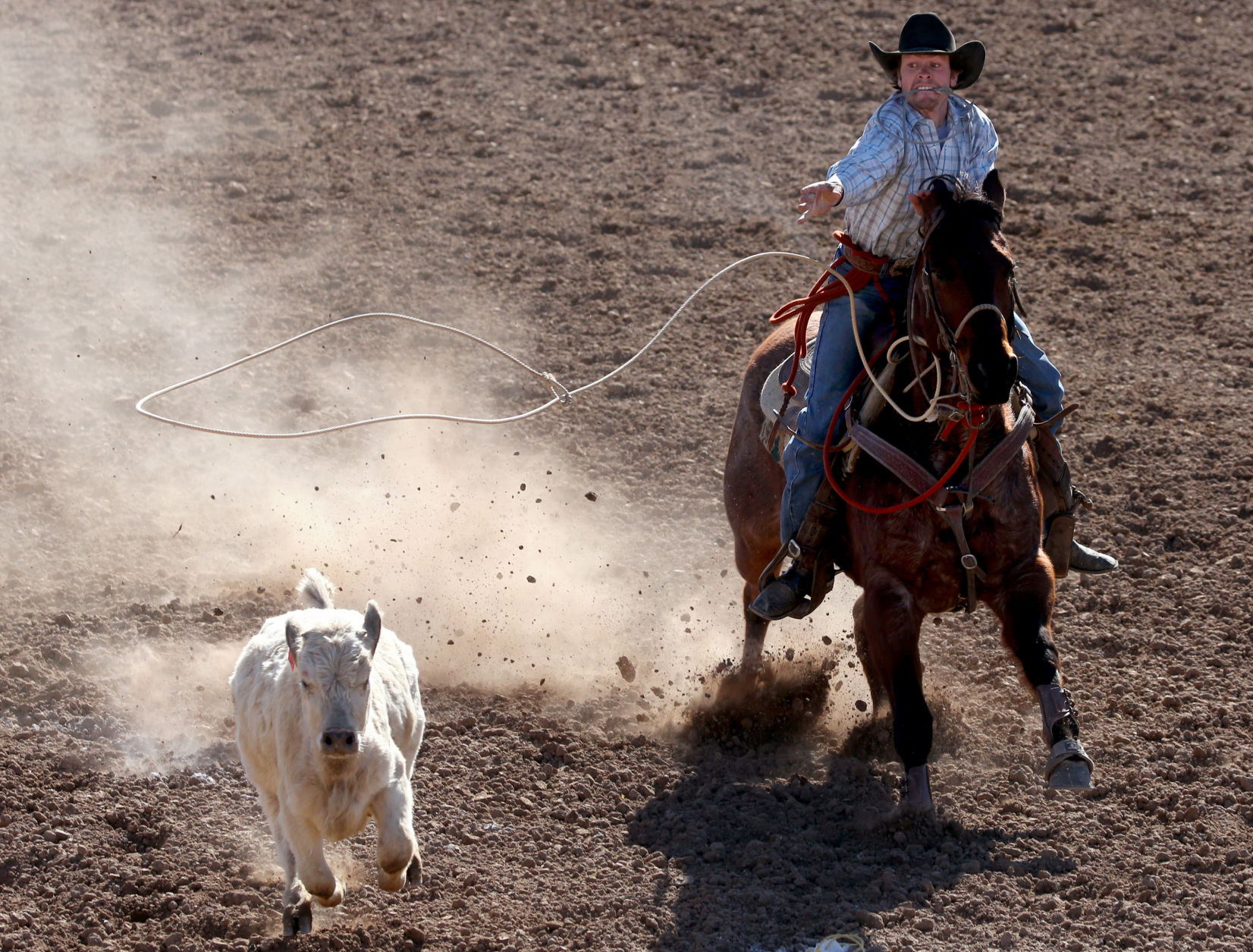 Tucson Rodeo
